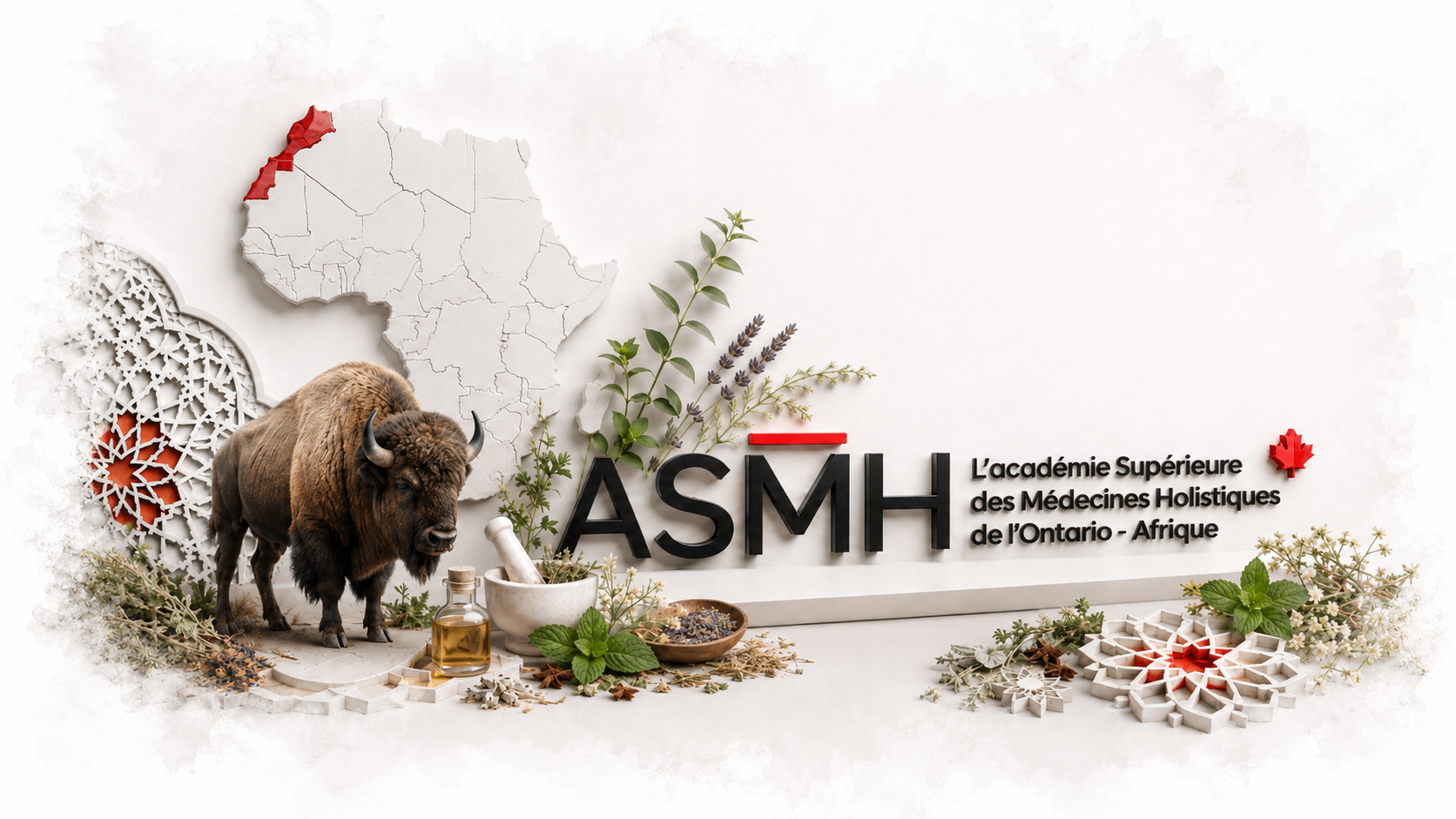 The ASMH world of knowledge, plants and openness to Africa
